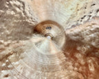 14" Hi-hats, 857 (hfb) / 1059 (hfb) grams, B20