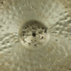 20" Ride, 1720 grams, B20